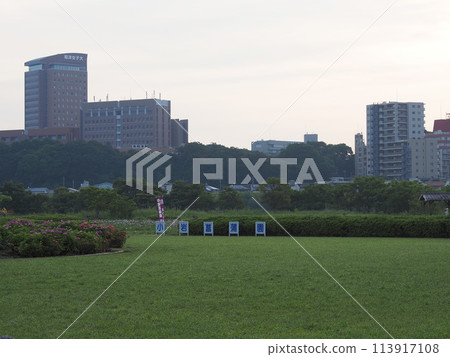 小岩菖蒲花園 2023 年 6 月清晨 113917108