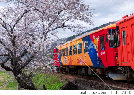 An orange-wrapped train running through Sakura-ki Chihara Station (Tarumi Railway) An orange-wrapped train running through Sakura-ki Chihara Station (Tarumi Railway) 113917308