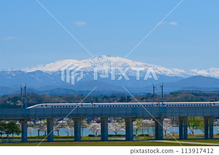 名峰白山、木袋形櫻花和北陸新幹線 小松市 名峰白山、木袋形櫻花和北陸新幹線 小松市 113917412