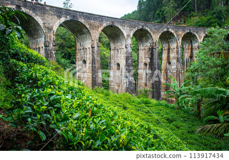 View of Nine Arch Bridge a very picturesque spot in Ella, Sri Lanka. Ella is a mountain town in the Central Highland of Sri Lanka surrounded by the beautiful greens of tea plantation field. 113917434