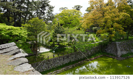 Tsu Castle Ruins 113917526