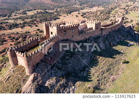 Bird's eye view of Castle of Riba de Santiuste 113917625