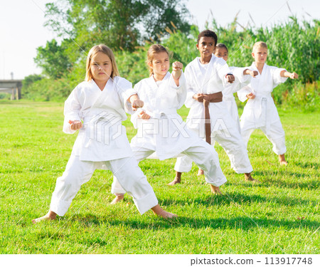 Positive children practicing karate in park Positive children practicing karate in park 113917748