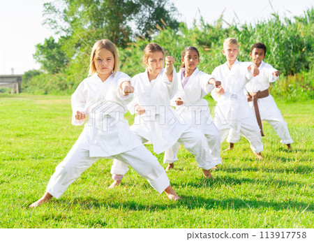 Group of young children doing karate kicks during karate class in park 113917758