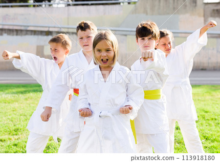 Group of focused schoolchildren practicing karate at park 113918180