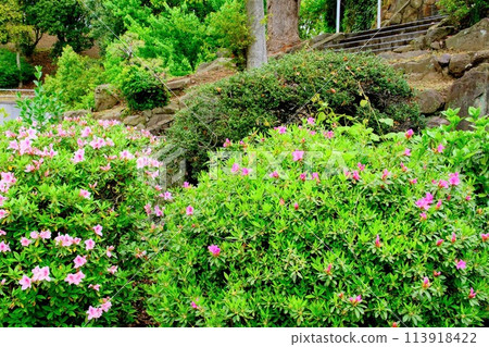 名古山靈園 名古山靈園 113918422