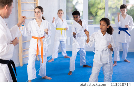 Group of children train karate techniques Group of children train karate techniques 113918714