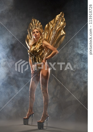 Sensual lady wearing golden carnival costume in studio 113918726