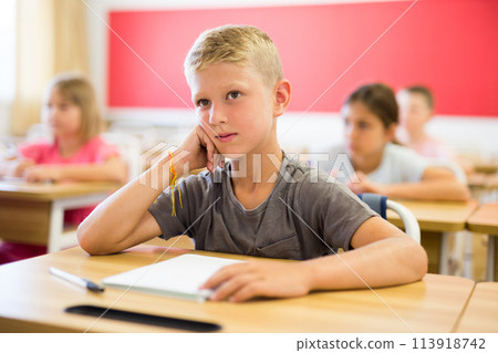 Boy sitting in classroom 113918742
