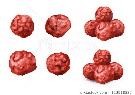 手繪水彩插畫的醃李子 手繪水彩插畫的醃李子 113918823