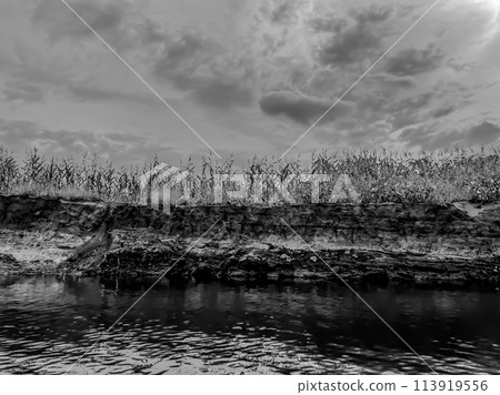 Bad farming practice of planting row crops to the edge of a waterway. Bad farming practice of planting row crops to the edge of a waterway. 113919556