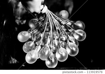 Rapid filling self sealing water balloons being inflated with a hose. 113919578