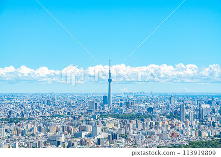 [東京] 從陽光60大廈展望台看到的東京晴空塔 113919809