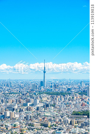 [Tokyo] Tokyo Skytree as seen from the observation deck of the Sunshine 60 Building 113919818