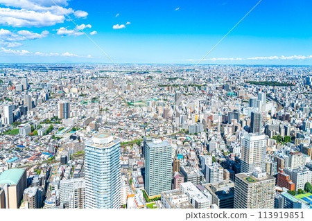 [東京] 從陽光60大樓展望台看到的城市景觀 113919851