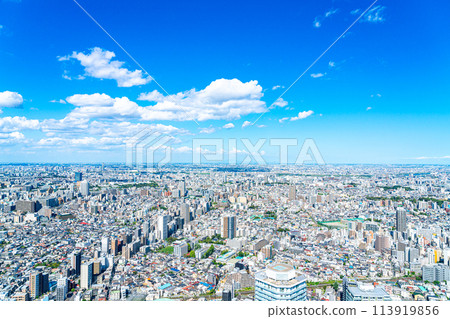 [東京] 從陽光60大樓展望台看到的城市景觀 113919856