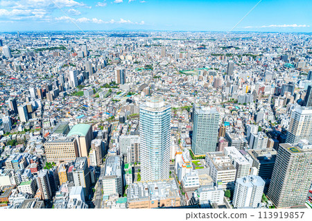 [東京] 從陽光60大樓展望台看到的城市景觀 113919857