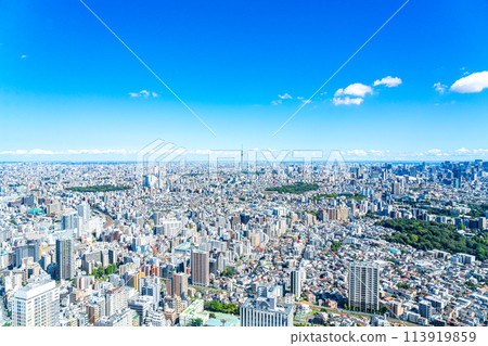 [Tokyo] Tokyo Skytree and cityscape as seen from the observation deck of the Sunshine 60 Building 113919859