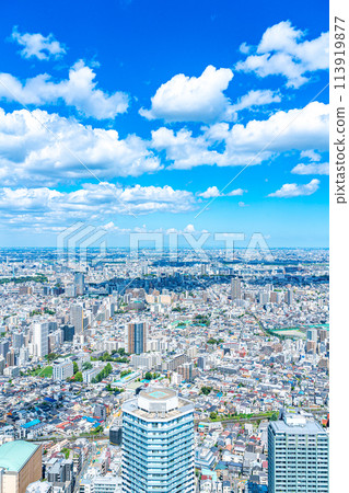 [東京] 從陽光60大樓展望台看到的城市景觀 113919877