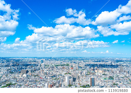 [東京] 從陽光60大樓展望台看到的城市景觀 113919880