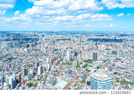 [東京] 從陽光60大樓展望台看到的城市景觀 113919881