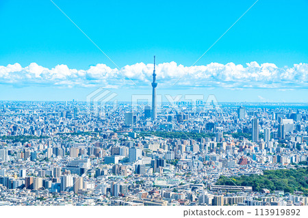[東京] 從陽光60大樓的觀景台看到的東京晴空塔和城市景觀 113919892