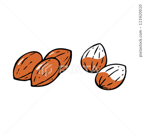 Simple illustration almond 113920010