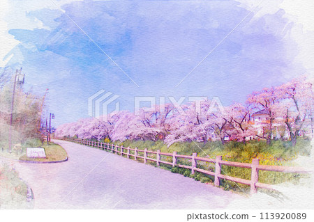 [愛知縣] 岩倉市五條河畔櫻花樹的水彩畫 113920089