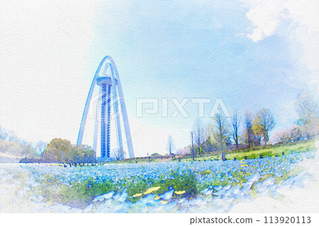 [愛知縣] 一宮市138塔公園的Nemophila水彩畫 113920113