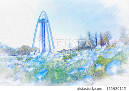 [愛知縣] 一宮市138塔公園的Nemophila水彩畫 113920115