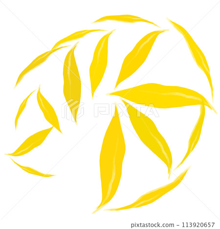 Brush  113920657