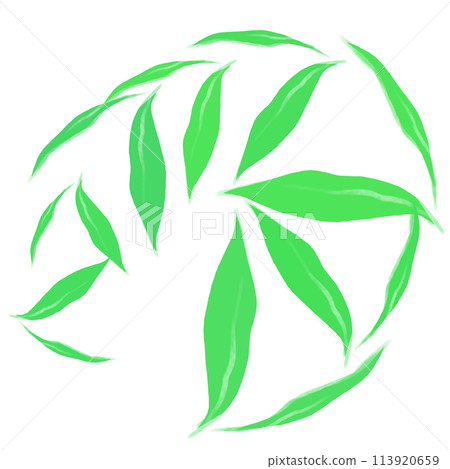Brush  113920659