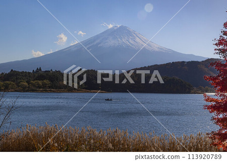 河口湖 - 秋葉 河口湖 - 秋葉 113920789