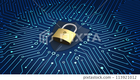 電腦安全圖像、電路板和金鑰、安全 113921012