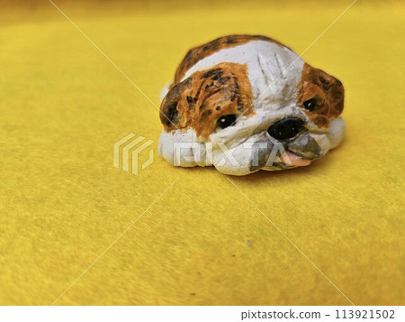 Lying down bulldog Lying down bulldog 113921502