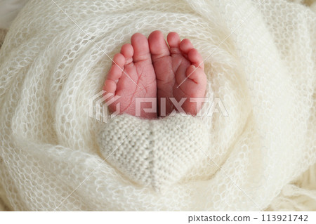 The tiny foot of a newborn baby. Soft feet of a new born in a wool white blanket. Close up of toes, heels and feet of a newborn. Macro photography. 113921742