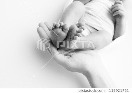 The palms of the father, the mother are holding the foot of the newborn baby. Feet of the newborn on the palms of the parents. Studio macro black and white photo of a child's toes, heels and feet. 113921761