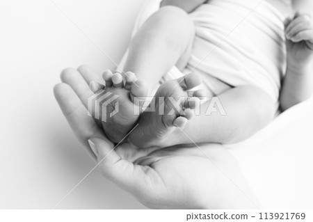 The palms of the father, the mother are holding the foot of the newborn baby. Feet of the newborn on the palms of the parents. Studio macro black and white photo of a child's toes, heels and feet. 113921769