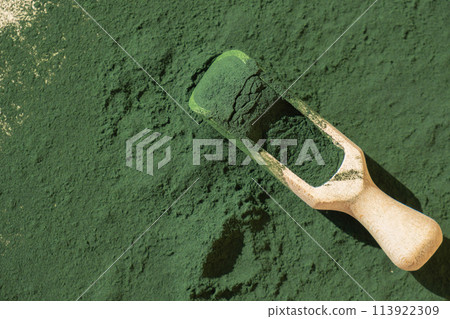 Natural organic green spirulina algae powder in wooden spoon on neutral background. Chlorella seaweed vegan superfood supplement source and detox. Copy space Healthy nutritional antioxidant 113922309