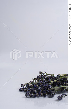 green tea on a white background 113923631