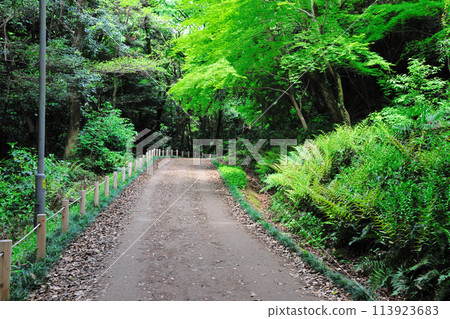 小牧山歷史公園 小牧山歷史公園 113923683