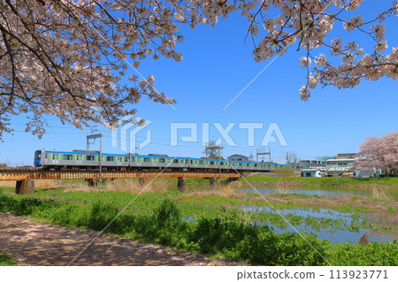 [TD] Tobu Noda Line 60000 series train crossing the Ochi Furutone River in spring 113923771