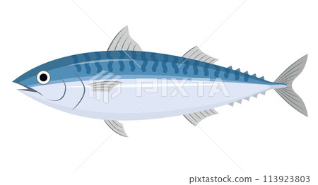 Illustration of a spider 113923803