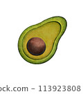 Avocado  113923808