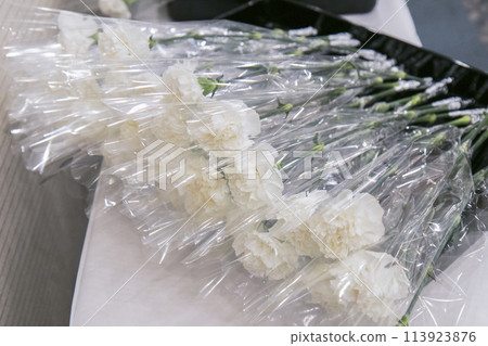 Image of flower stand Image of flower stand 113923876