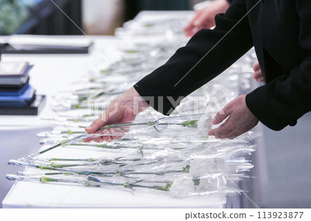 Image of flower stand 113923877