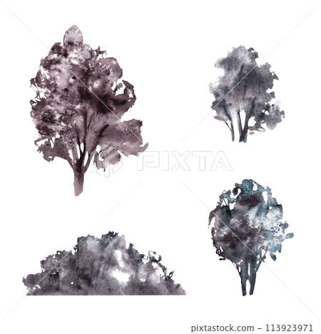 Trees, field, shrub and bushes nature plant set for landscape. Watercolor monochromatic vintage grey, black color rural eco concept Hand draw illustration Card sticker print Isolated white background 113923971