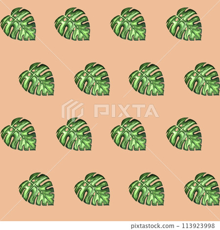 Watercolor seamless pattern of hand drawn tropical leaves. Jungle monstera leaves. Nature floral on grey background for wrapping paper, print, fabric, web, wallpaper. Summer botanical banner.  113923998