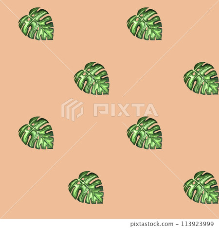 Watercolor seamless pattern of hand drawn tropical leaves. Jungle monstera leaves. Nature floral on grey background for wrapping paper, print, fabric, web, wallpaper. Summer botanical banner. Watercolor seamless pattern of hand drawn tropical leaves. Jungle monstera leaves. Nature floral on grey background for wrapping paper, print, fabric, web, wallpaper. Summer botanical banner. 113923999