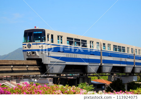 Kitakyushu City Monorail and azalea flowers [blue sky background] 113924075